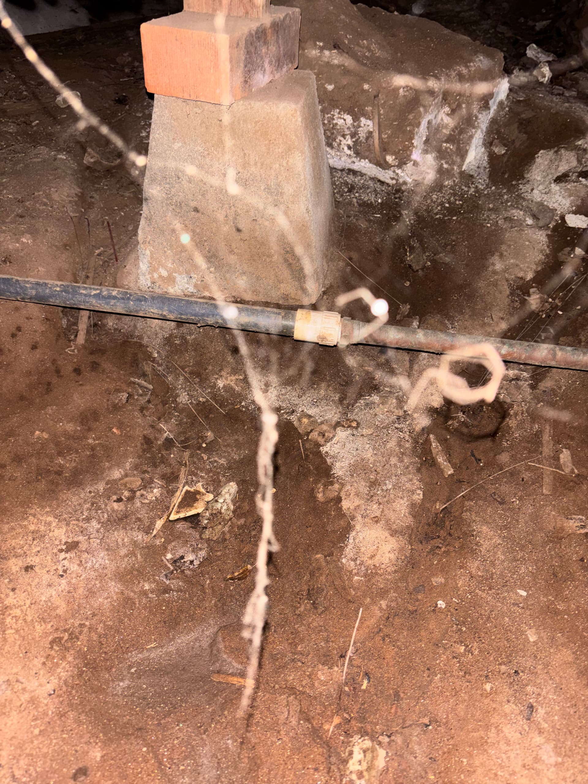 Crawlspace Plumbing Repairs in a Historic Home image
