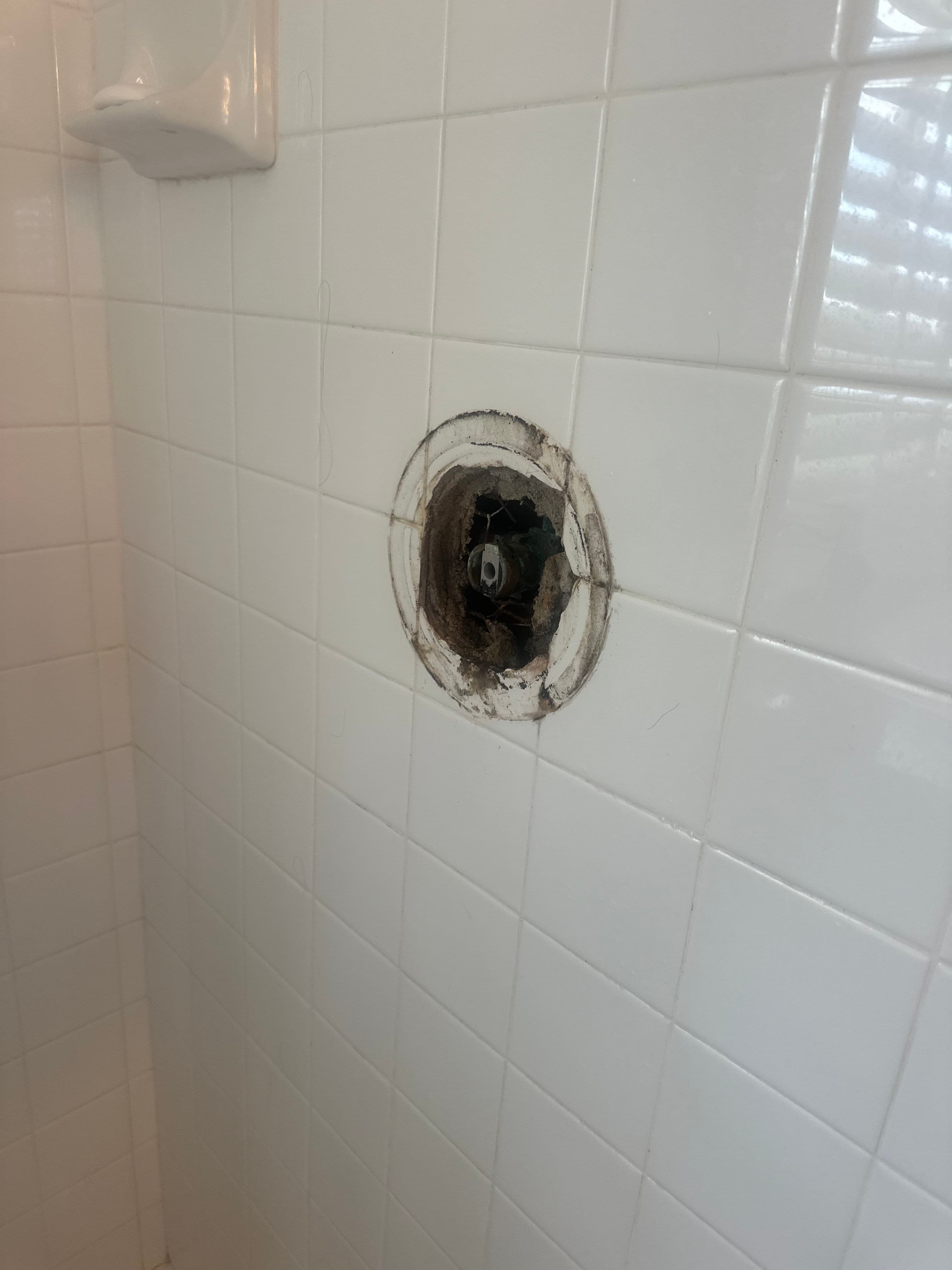 Project Shower Valve Replacement on a Back-to-Back Shower System image
