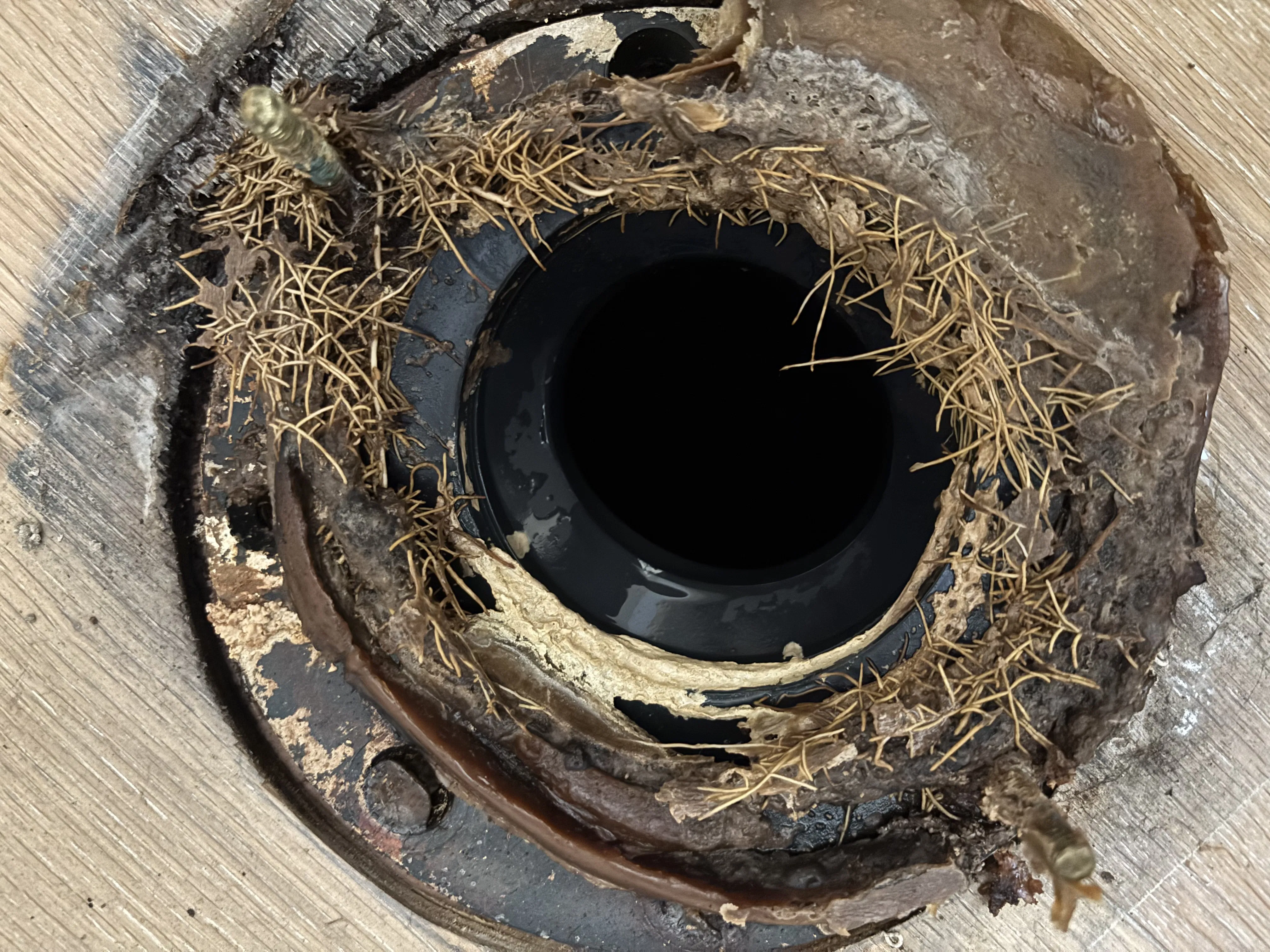 Project What a Leaking Toilet Can Hide Underneath image