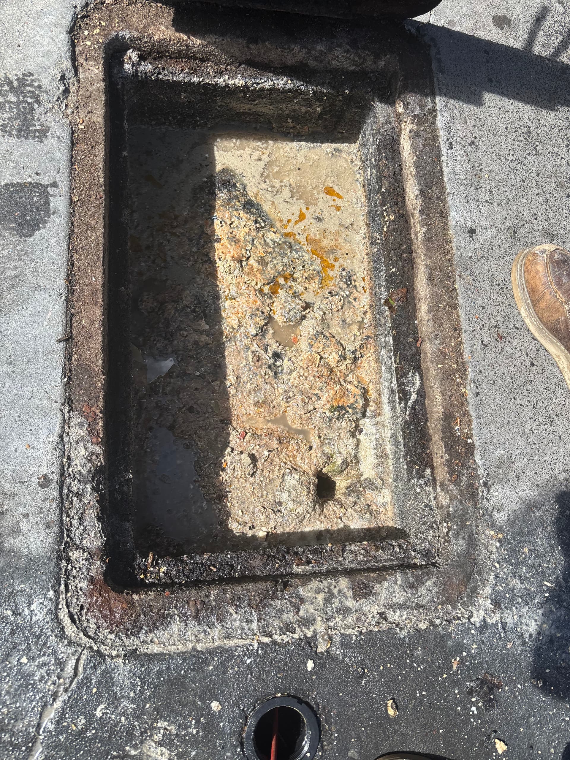 Grease Trap Neglect Leads to Bigger Problems Than You'd Think image